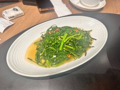 -滇铺子·云南特色菜·第九届野生菌美食节(曲靖万达店)