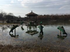 -昆山城市生态森林公园