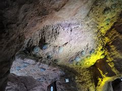 景点-中国西峡恐龙遗迹园