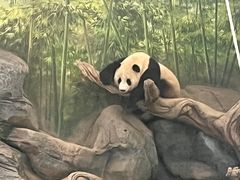-武汉动物园
