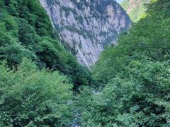 -青峰峡国家森林公园