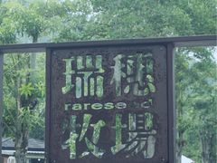 -瑞穗牧场
