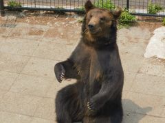 -大连森林动物园