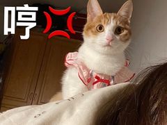 -北京赛佳动物医院