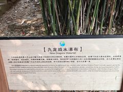 -九龙潭景区