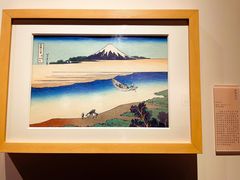 景点-湖北省博物馆