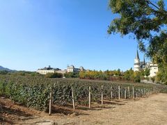 -北京张裕爱斐堡酒庄