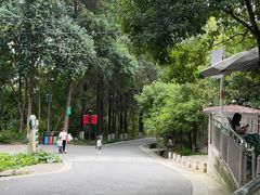 -富乐山