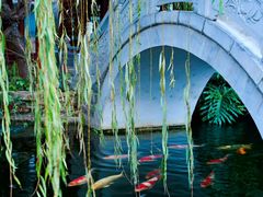 -香麒园·过桥米线·南湖雅宴