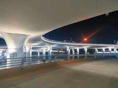 -演武大桥观景平台