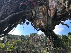 -奥兰多迪士尼动物王国乐园