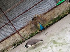 -石燕湖生态旅游景区