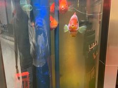 -羽鸽集·乳鸽专门店·地道顺德菜(岭南站店)
