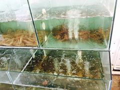 -蚝乡农庄(铁涌赤岸店)