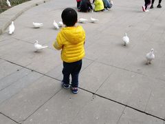 -成都华侨城欢乐里