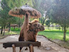 -北京野生动物园