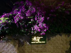 -佛山市图书馆(祖庙路分馆)