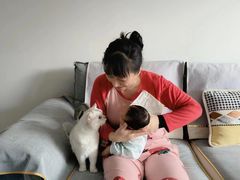 -爱月宝月嫂·育儿嫂(哈尔滨总店)