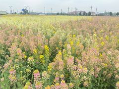 -中国天府农业博览园