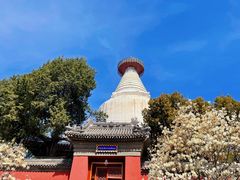 -妙应寺白塔