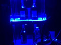-HiIbiza酒吧