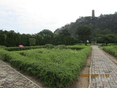-南沙蒲洲花园