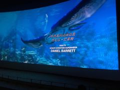 -天幕新彩云国际影城(激光巨幕店)