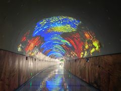 -赤水丹霞旅游区·大瀑布