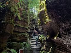 -梭布垭石林景区