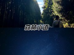 -山王坪喀斯特国家生态公园