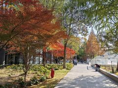 -漕河泾开发区(地铁站)