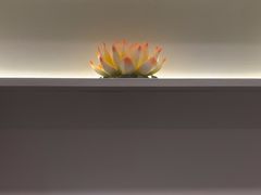 -享纯·私密·男士日式SPA
