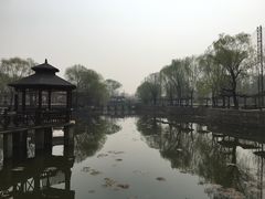 -尚庄度假村·庭台树下·户外烧烤·团建CS·轰趴营地(上庄水库店)