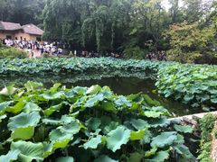 -韶山毛泽东同志故居