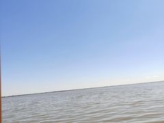 -哈素海
