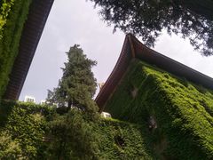 -陕西师范大学(雁塔校区)