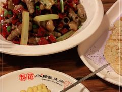 -福苗小骆驼烧烤(莲湖路店)