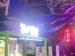 -烟台海昌鲸鲨海洋公园