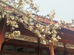 -堤角公园