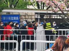 -嘉定紫藤园