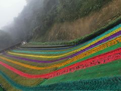 -梦幻奥陶纪景区