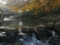 -中国茶叶博物馆(双峰馆区)