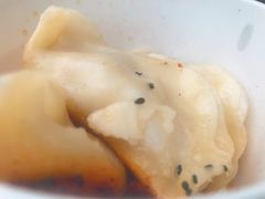 -汪记大王锅贴(成山路店)