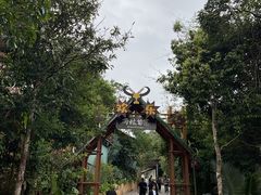 -海南槟榔谷黎苗文化旅游区