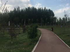 -丁香湖公园