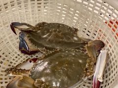 -四海蒸鲜蒸汽海鲜自助(北戴河店)