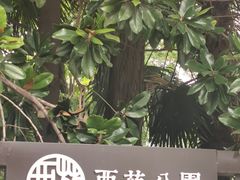 -西苑公园