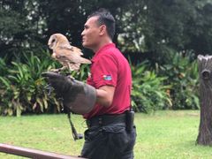-新加坡飞禽公园
