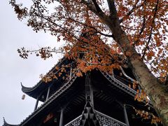 -禅射堂(嘉善越里店)