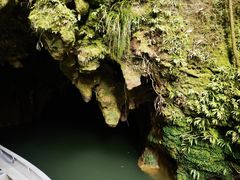 -怀托摩萤火虫洞